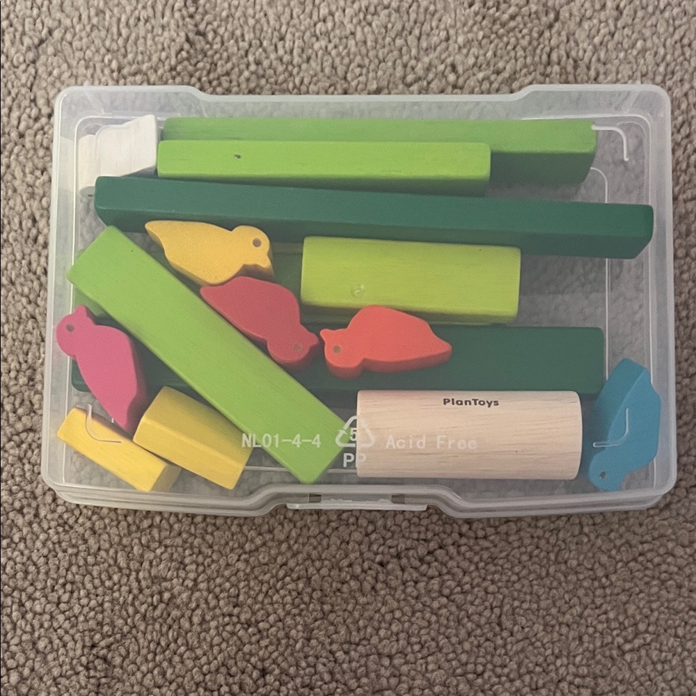 Colorful Wooden Building Blocks Set